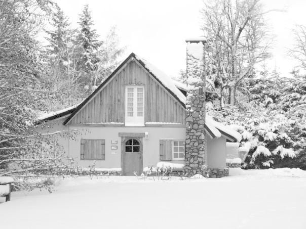 Hosteria El Establo บียาลาอังกอสตูรา ภายนอก รูปภาพ